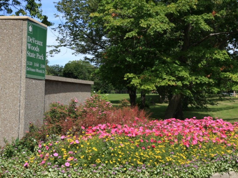 DeVeaux Woods State Park Niagara Falls USA