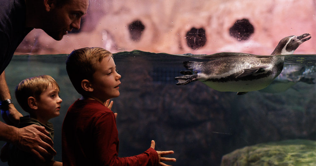 Aquarium of Niagara Niagara Falls USA